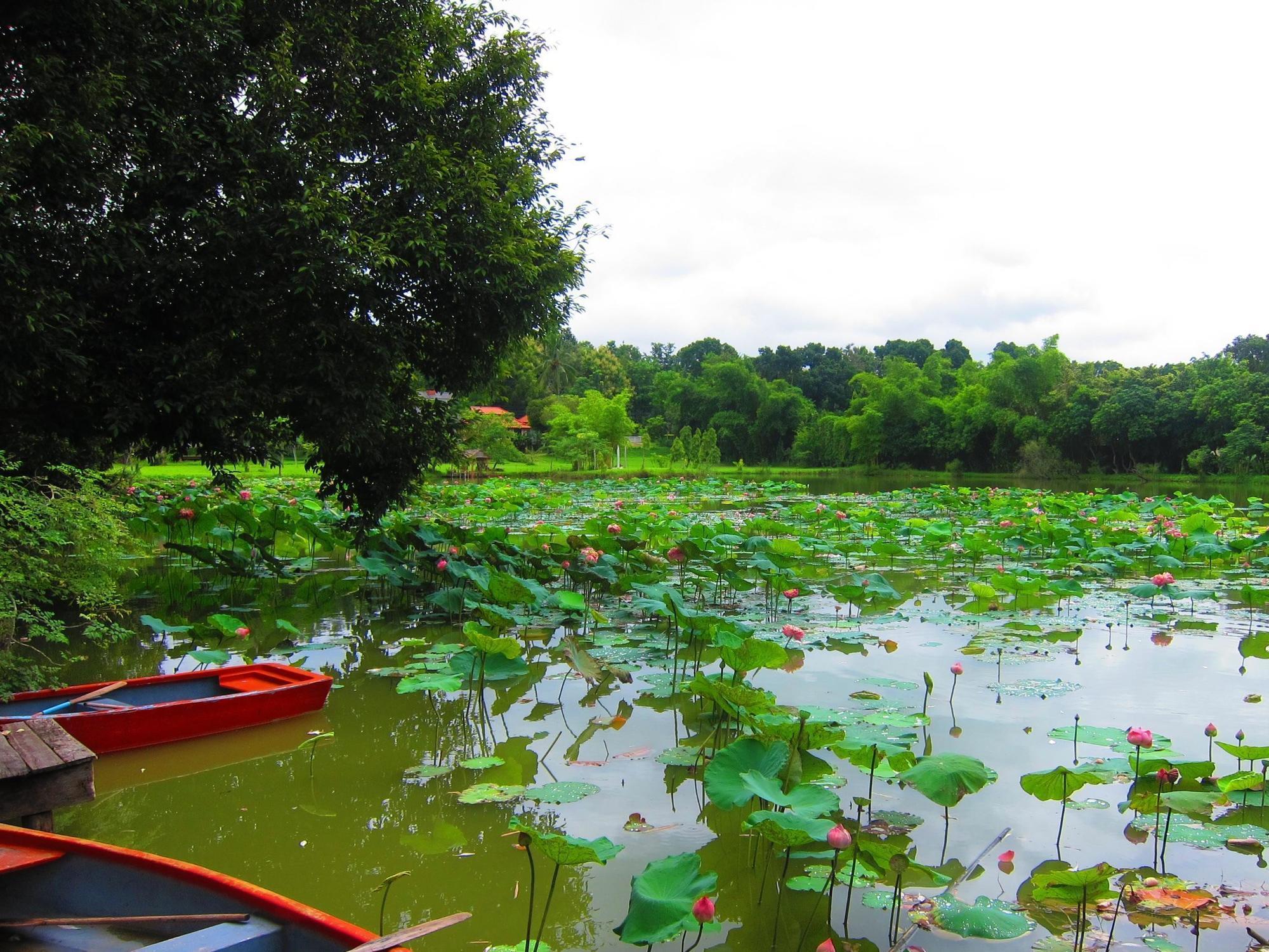 Mae Rim Lagoon Bed & Bakery Dış mekan fotoğraf